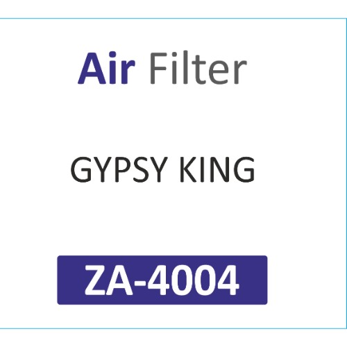 AIR FILTER | Suitable for: GYPSY KING - Image 2