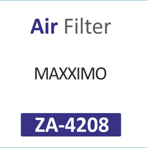 AIR FILTER | Suitable for: MAXXIMO - Image 2