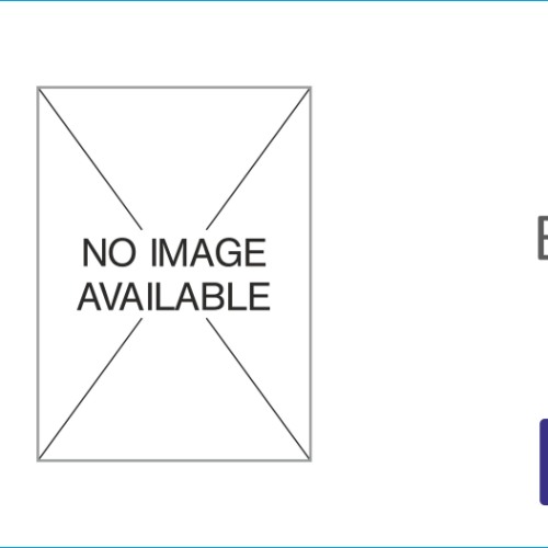 AIR FILTER | Suitable for: BOLERO NEO | MAXX CITY