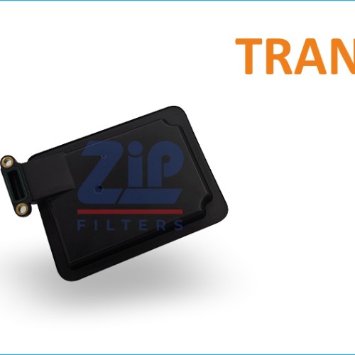 TRANSMISSION FILTER | Suitable for: SANNTA FE