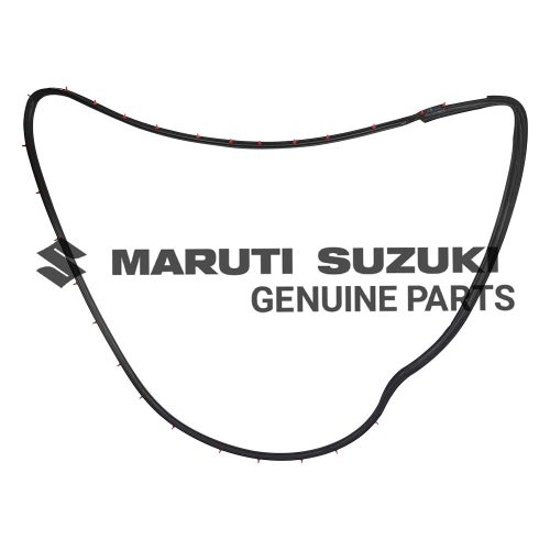 WEATHERSTRIP_FRONT DOOR OPNG_RFor EECO