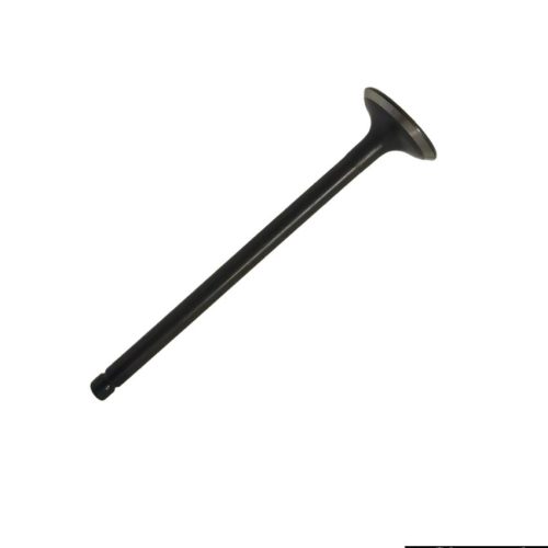 Intake Valve  For Hyundai Getz | I10 (O|M) | Santro