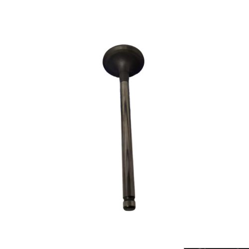 Intake Valve  For Hyundai Venue | Eon | Grand I10 | Xcent (P)
