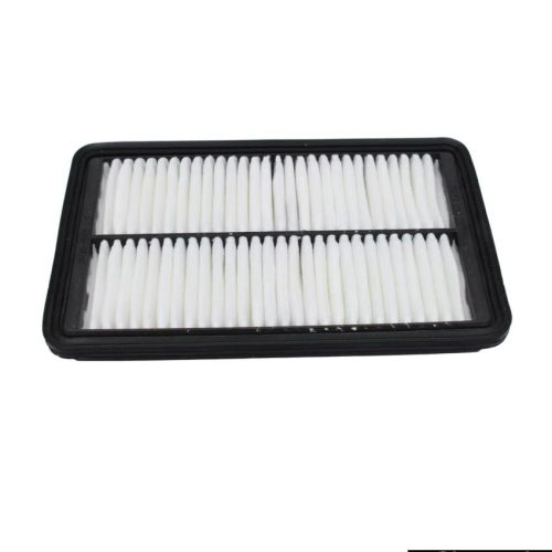 Air Filter  For Hyundai Santro Xing