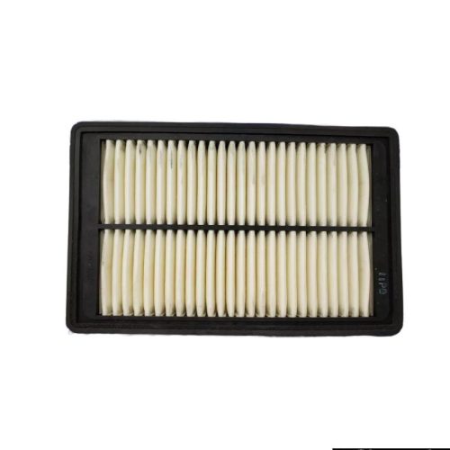 Air Filter  For Hyundai Santro Xing