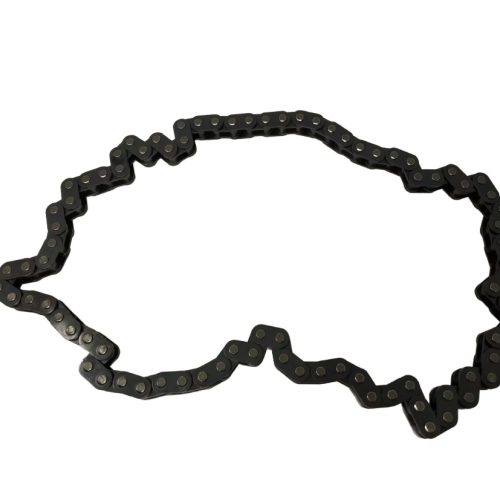 INA Timing Chain (FIP to Cam) 5530232100