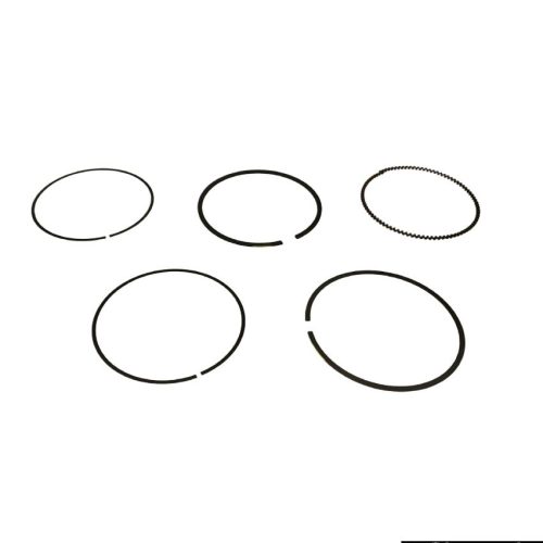 Piston Ring  For  Mahindra KUV 100 (P)