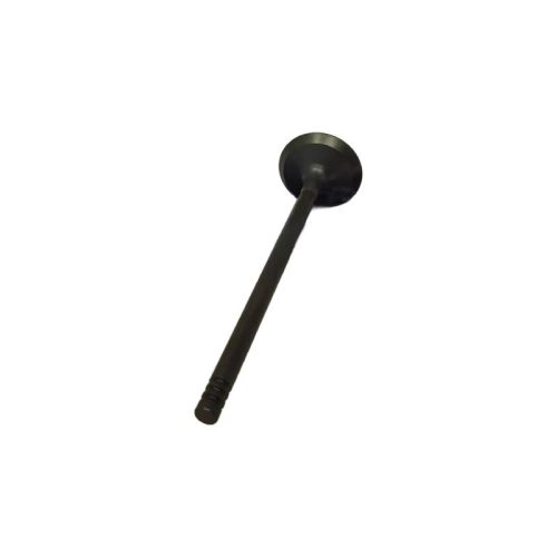 Engine Valve (Intake) (3V) (Set of 4) 132016529R  For Renault Kwid (P)