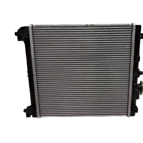 Radiator Assy 214101428R  For Datsun Redi-Go