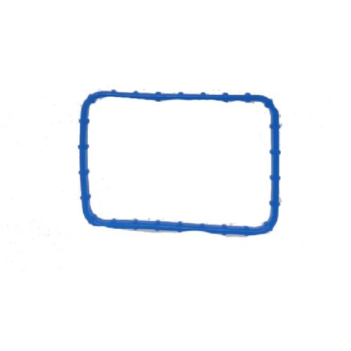 Gasket Thermostat 3M5Z8255E  For Ford Figo | Fiesta | Ecosport | Figo Aspire | Fusion | Ikon | Free Style