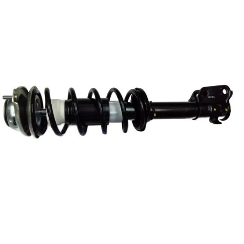 Front Strut Assy Right 41069M67L14 for Maruti WagonR (Type 2), Stingray