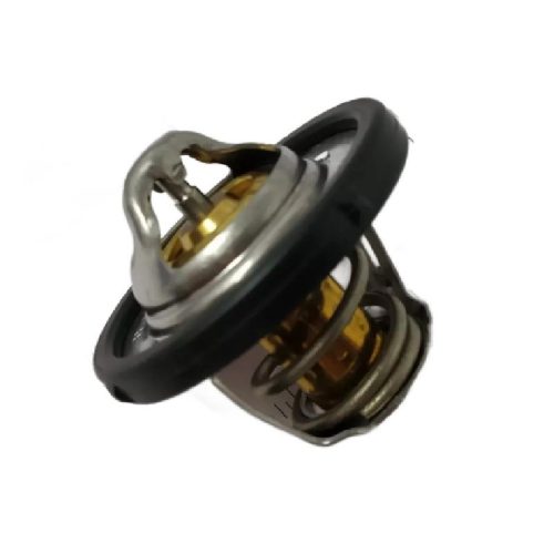 Thermostat Valve DM5G8575AA  For Ford Figo | Fiesta | Fusion | Figo Aspire | Ecosport (P)